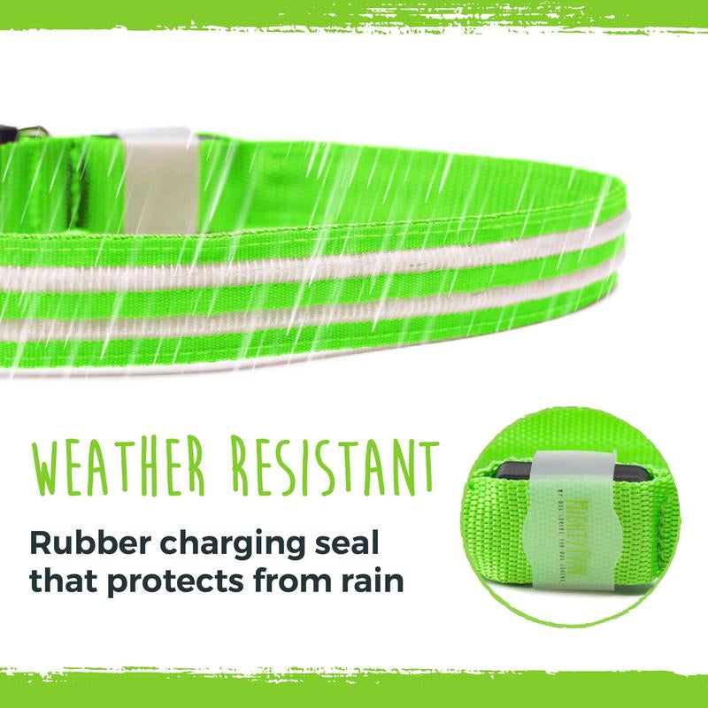 Mighty Paw LED Dog Collar - Two Light Strips, Rechargeable & Weather-Resistant