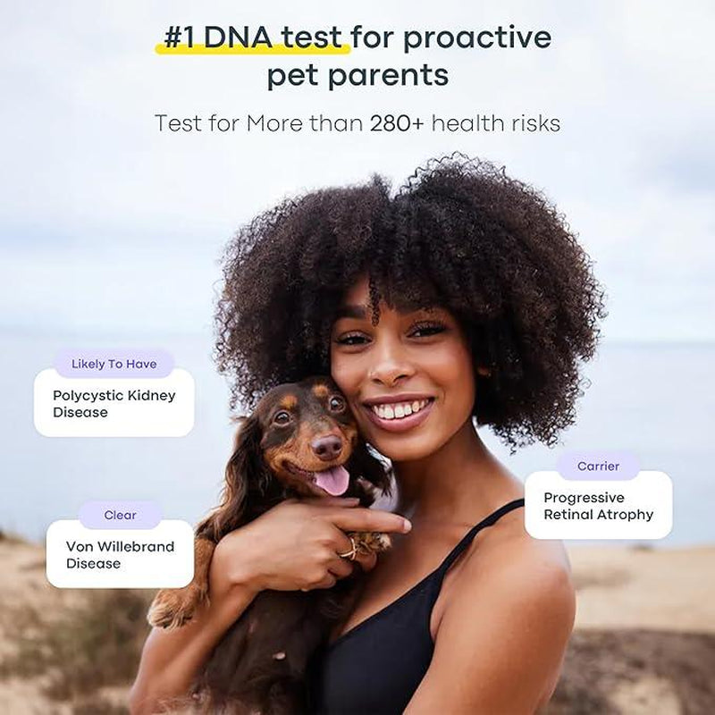 Basepaws Dog DNA Test Kit – 300+ Breeds, 280+ Genetic Health Risks, and 30+ Traits - 1 Pack - Comprehensive Dog DNA Test for Ancestry & Health Care