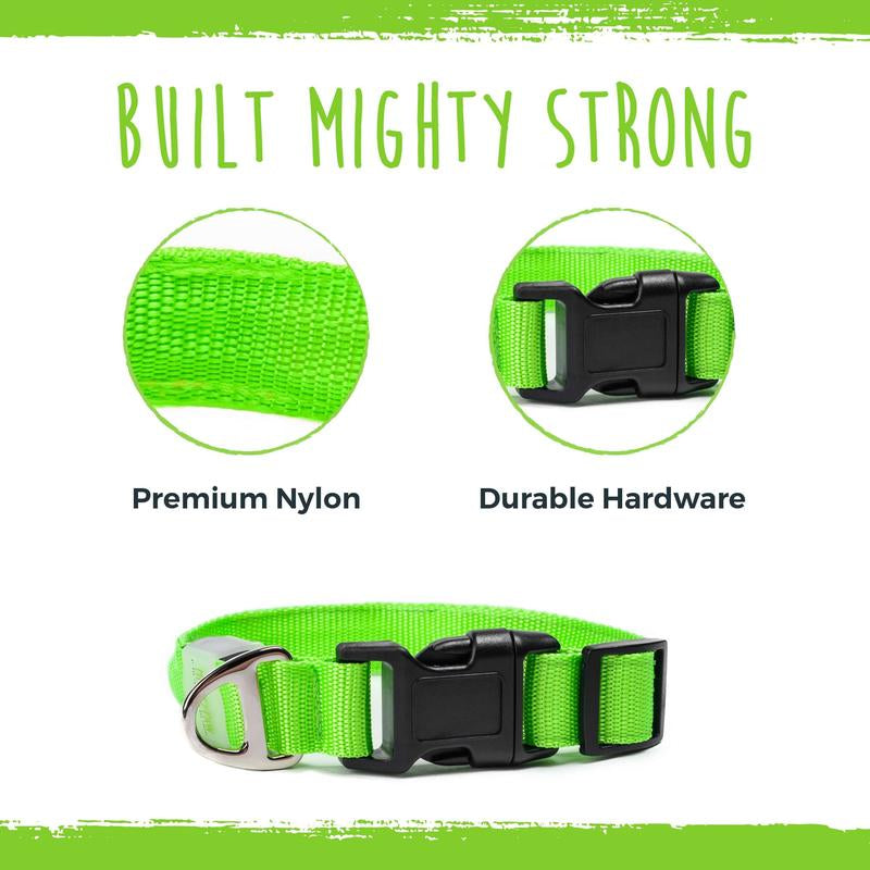 Mighty Paw LED Dog Collar - Two Light Strips, Rechargeable & Weather-Resistant